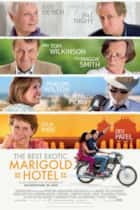 The Best Exotic Marigold Hotel