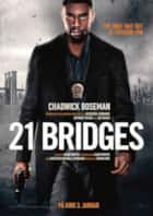 21 Bridges